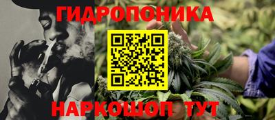 PSILOCYBIN Аргун