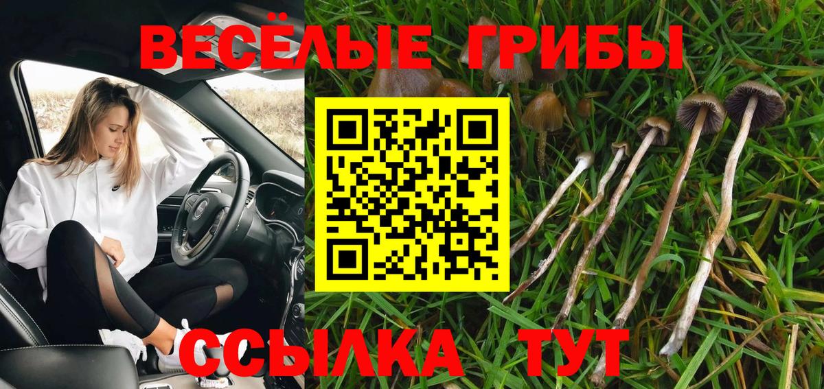 Балабаново  Псилоцибиновые грибы ЛСД  Вход с VPN 
