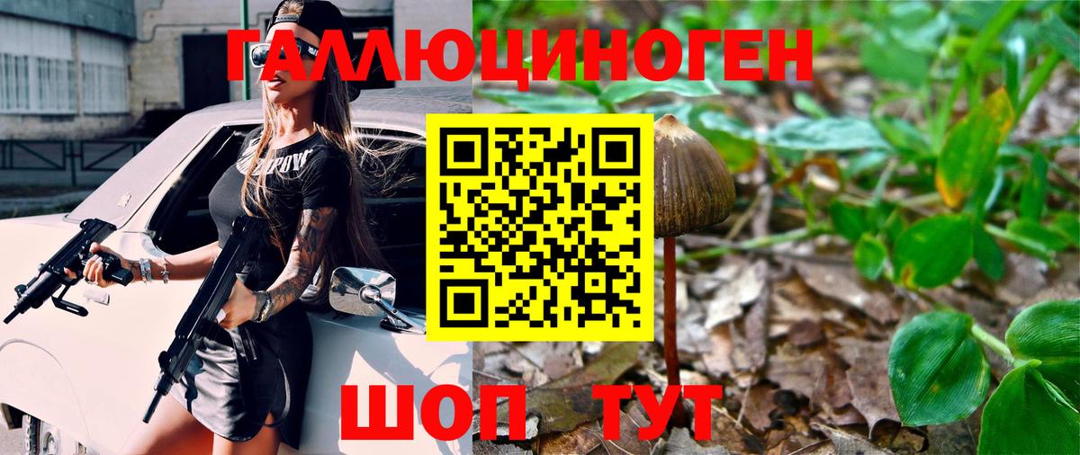 Псилоцибиновые грибы прущие грибы Балабаново